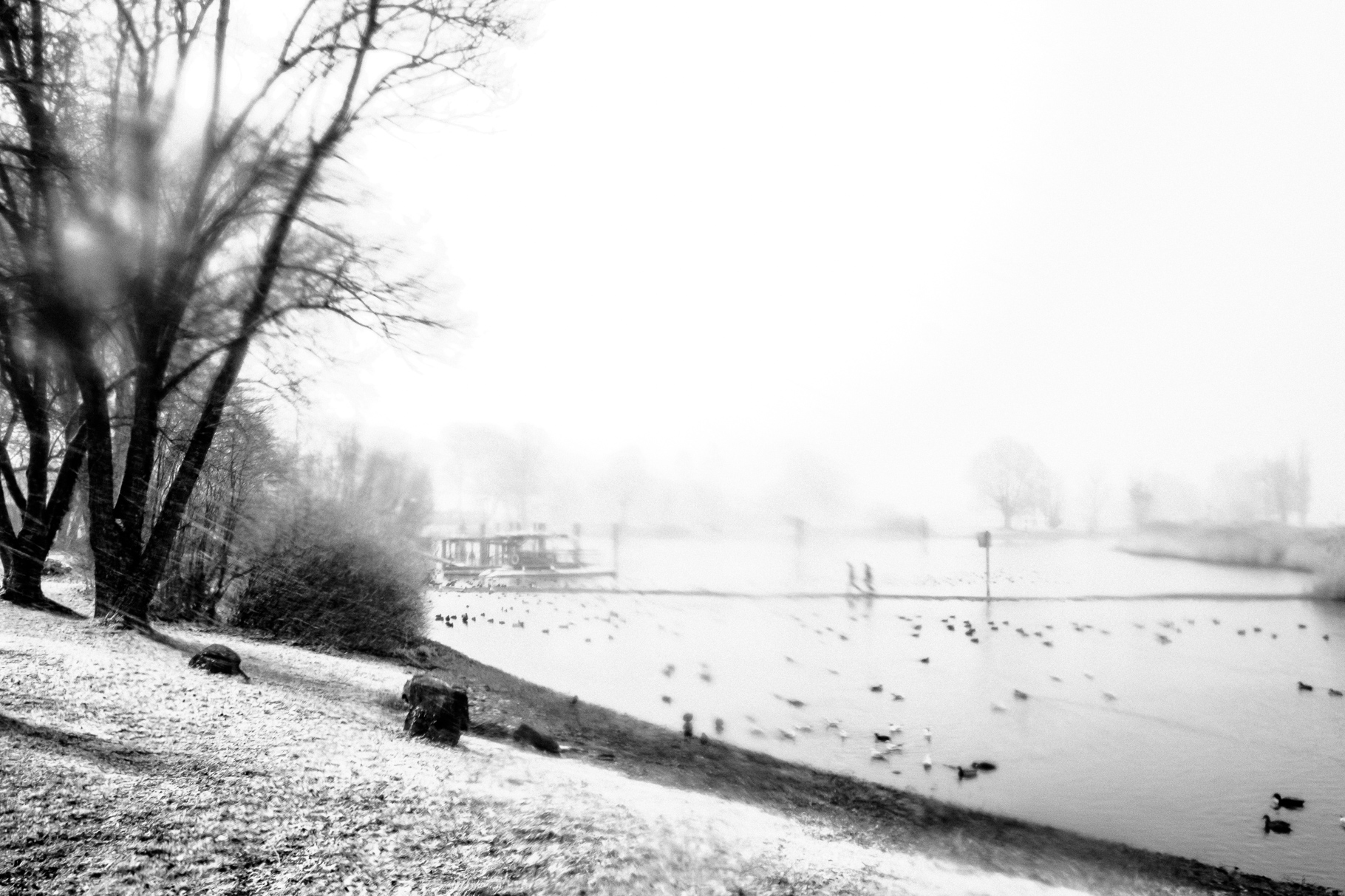 Schneefall im Seeburgpark #6